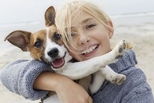 Txakur baten parasitoen infekzioa