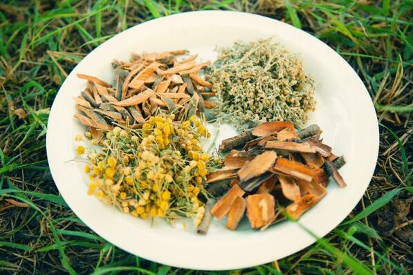 gizakietan zizare eta parasitoen aurkako erremedio herrikoiak