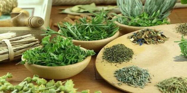 iltzea gorputzeko parasitoen aurka